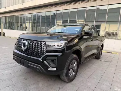2024 Great Wall Pao Model 2.4T Commercial Version Automatic Diesel 4WD Elite Type, фото 1, лот 10842732