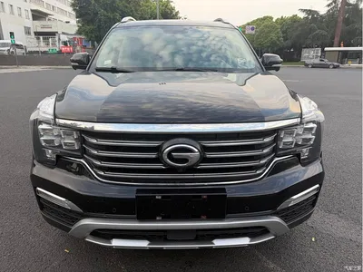 2017 GAC Trumpchi Trumpchi GS8 320T 2WD Luxury Smart Connect (7-seater), фото 2, лот 10415226