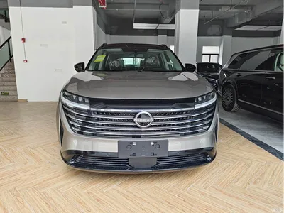 2024 Nissan Terra 380VC-TURBO 4WD Intelligent Driving Edition 6-seater, фото 2, лот 10342857