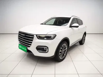 2020 Haval H6 1.5GDIT Automatic Platinum Champion Edition, фото 1, лот 11097006