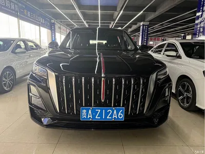 2023 Hongqi HS5 2.0T Flag Joy Pro Edition, фото 2, лот 11012757