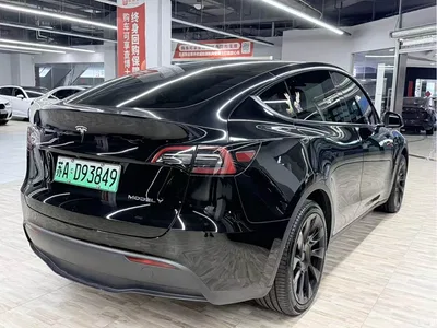 2023 Tesla Model Y Rear-Wheel Drive Edition, фото 4, лот 10405228