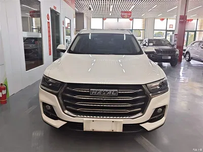 2021 Haval H6 Model National Trend Edition 1.5T Auto Champion, фото 3, лот 10303908