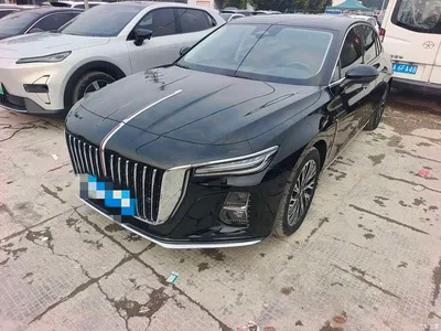 2024 Hongqi H5 2.0T Automatic Smart Connect Flag Enjoy Edition, фото 1, лот 11181521