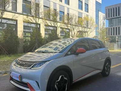2021 BYD Dolphin Model 405km Fashion Edition, фото 1, лот 11349715