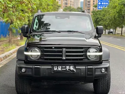 2021 Tank 300 Off-road Version 2.0T Conqueror, фото 3, лот 10344956