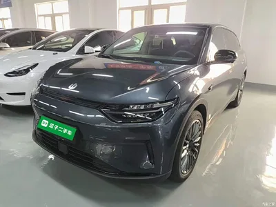 2023 Leapmotor C11 Pure Electric 500 Comfort Edition, фото 2, лот 10441647