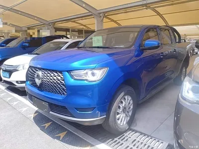 2019 Great Wall Pao 2.0T Commercial Manual Diesel 4WD Elite Long Box GW4D20M, фото 1, лот 10248881