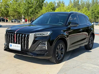 2023 Hongqi HS5 2.0T Flag Enjoy Pro Edition, фото 1, лот 10288740