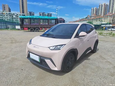 2024 BYD Seagull Glory Edition 305km Vitality Edition, фото 1, лот 10252776