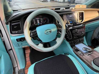 2018 GAC Trumpchi Trumpchi M8 320T Luxury Edition, фото 2, лот 10417662