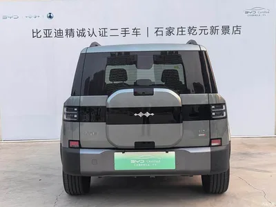 2025 Byd Titanium 7 AWD Base Model, фото 4, лот 11570006