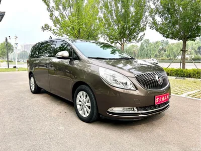2014 Buick GL8 2.4L CT Luxury Business Comfort, фото 2, лот 11137044