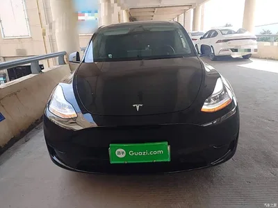2022 Tesla Model Y Rear-Wheel Drive Version, фото 3, лот 10370174