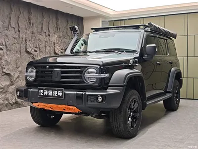 2021 Tank 300 Off-road Version 2.0T Conqueror, фото 1, лот 10344654