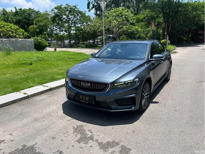 2021 Geely Xing Rui 2.0TD Premium, фото 1, лот 10361544