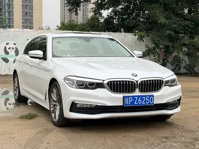 2018 BMW 5 Series 528Li Launch Special Edition, фото 1, лот 11503216