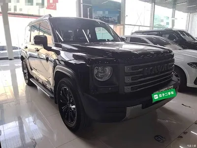 2024 Haval Meng Long NEV Hi4 102 Pro, фото 4, лот 10383288