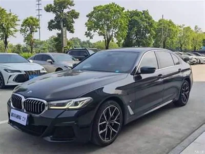 2023 BMW 5 Series 530Li Premium M Sport Package, фото 1, лот 10830838