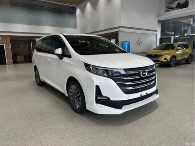 2021 GAC Trumpchi Trumpchi M6 PRO 270T Automatic Premium Edition, фото 3, лот 10420212