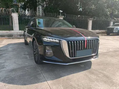 2023 Hongqi H5 2.0T Auto Smart Connect Flag Comfort, фото 3, лот 10771245
