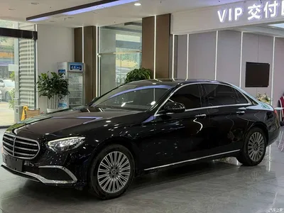 2023 Mercedes-Benz E-Class E 300 L Luxury, фото 1, лот 10266363