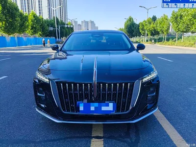 2025 Hongqi H5 2.0T Automatic Flag Celebration 500,000 Units Anniversary Edition, фото 2, лот 10287998