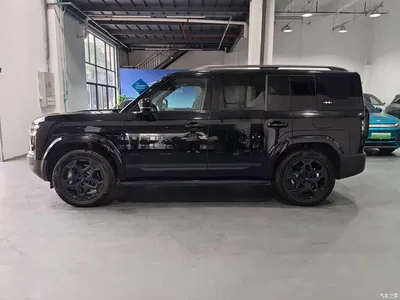 2025 Byd Titanium 7 AWD Base Model, фото 2, лот 10828719