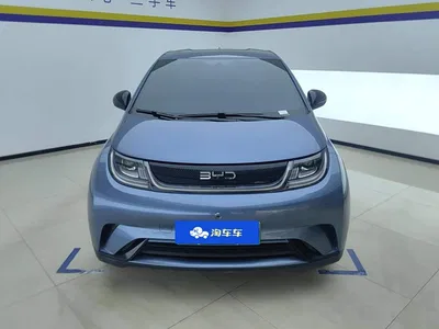 2025 Byd Dolphin, фото 2, лот 10247225