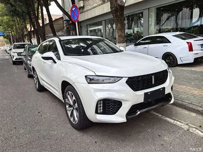 2017 WEY VV7 2.0T Luxury, фото 3, лот 10304596