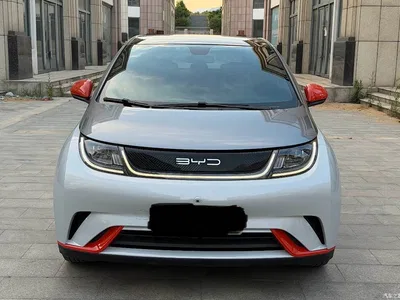 2021 BYD Dolphin Model 405km Fashion Edition, фото 2, лот 10879713