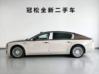 2025 Zunjie S800 Range Extender Starlight Executive 4-Seater, фото 3, лот 11248324