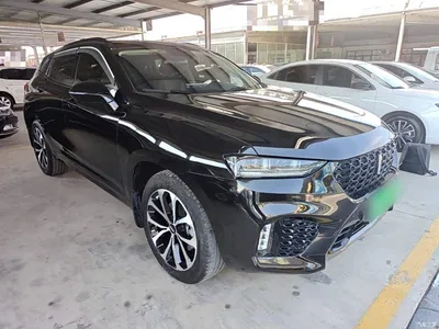 2017 WEY VV7 2.0T Super Luxury, фото 4, лот 10388294