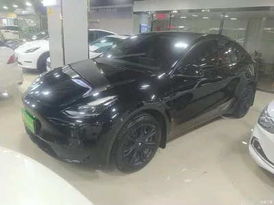 2022 Tesla Model Y Rear-Wheel Drive Version, фото 1, лот 10376137
