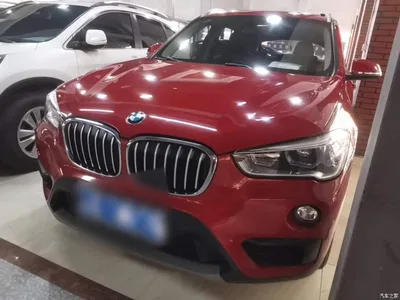 2019 BMW X1 sDrive20Li Leading Model, фото 2, лот 10467677