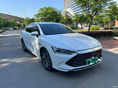 2023 BYD Qin PLUS Champion Edition DM-i 55KM Leading, фото 3, лот 10362987