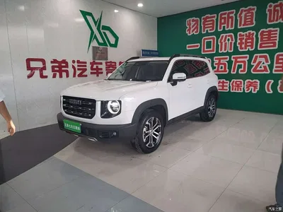 2021 Haval Big Dog 1.5T DCT 2WD Border Collie - Wangcai Edition, фото 1, лот 11206594