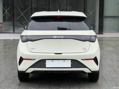 2025 BYD Dolphin Smart Drive Edition 420km Freedom Version, фото 3, лот 10253601