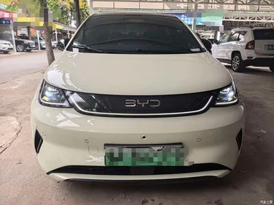 2025 BYD Dolphin Smart Drive Edition 410km Fashion Version, фото 2, лот 10254610