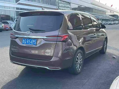 2021 Buick GL8 Land Business Class 652T Luxury, фото 3, лот 10255006