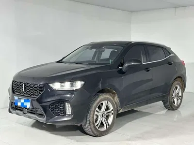 2019 WEY VV5 1.5T 2WD Style Pioneer, фото 1, лот 10450817