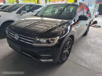 2019 Volkswagen Tiguan L Facelift 330TSI Auto 2WD Panorama Comfort China VI, фото 1, лот 10462993