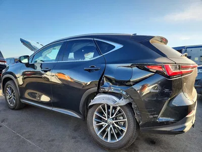 2024 LEXUS NX 350 BASE, фото 2, лот 10900695