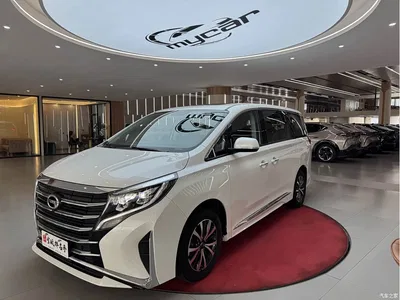 2024 GAC Trumpchi Trumpchi M8 Leadershow Series 390T Luxury Edition, фото 1, лот 11135908