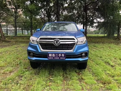 2019 Dongfeng Rich 6 2.4L Manual 2WD Gasoline Standard China VI 2TZD, фото 2, лот 10957810