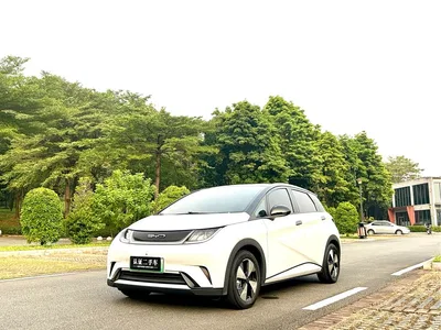 2023 BYD Dolphin 420km Fashion Edition, фото 2, лот 10899098