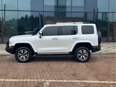 2023 Tank 300 Urban Edition 2.0T Very Stylish, фото 4, лот 10345195