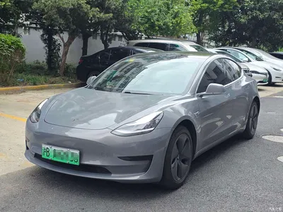 2019 Tesla Model 3 Standard Range Rear-Wheel Drive Upgrade, фото 1, лот 10395722