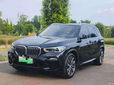 2021 BMW X5 New Energy(Imported) xDrive45e M Sport Package, фото 1, лот 10476793
