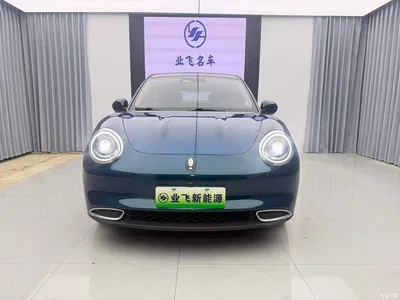 2021 Ora Good Cat 500km Long Range Poseidon Edition (NMC), фото 2, лот 10331139